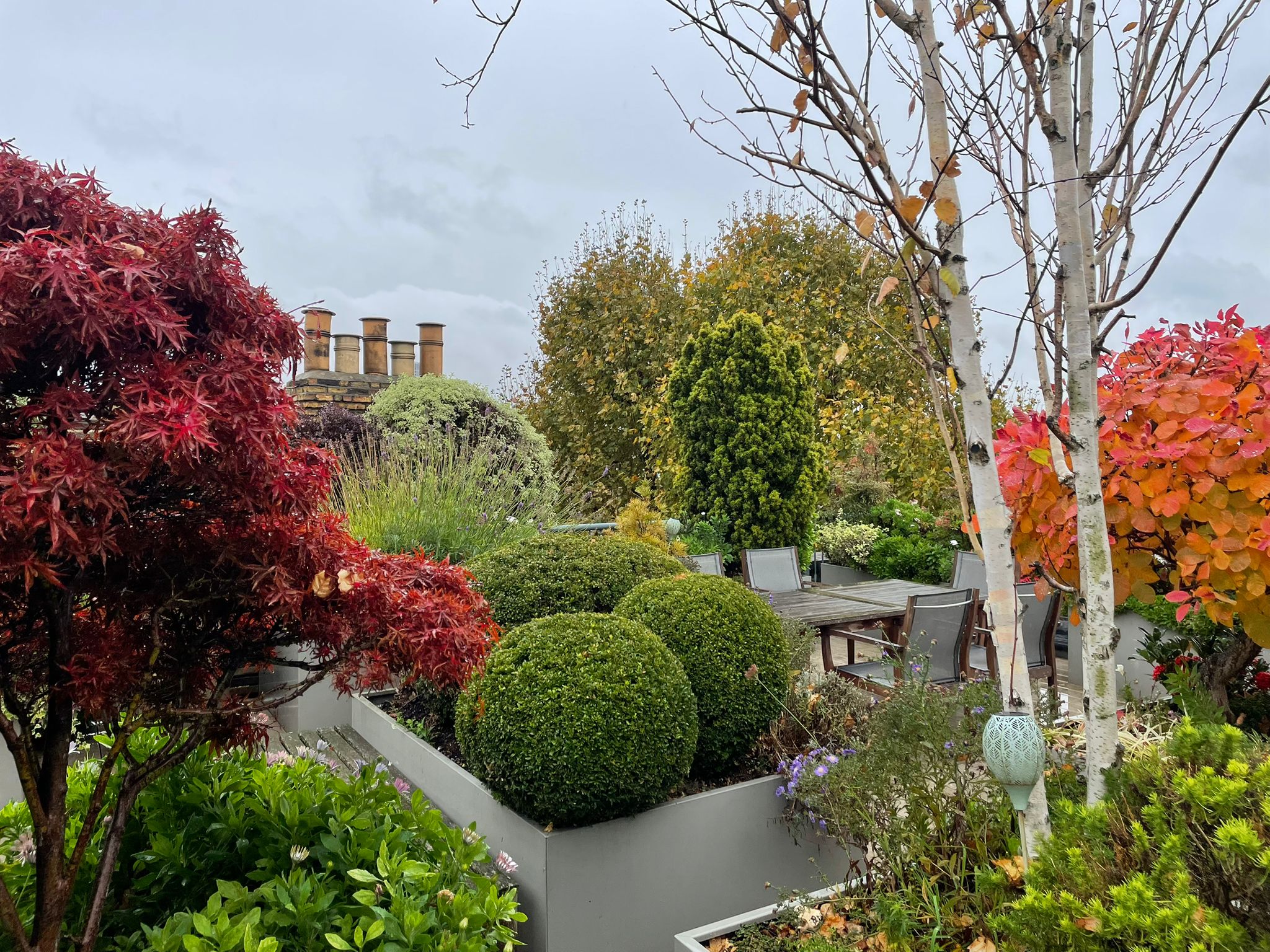 Residential communal garden maintained by Davidia Urban Gardens