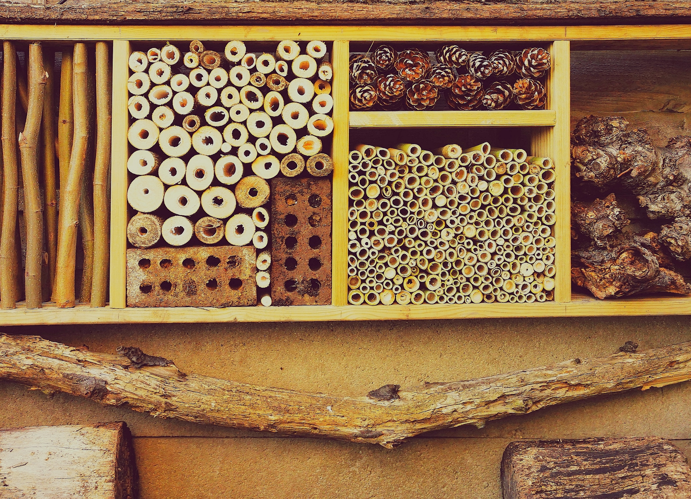 Bug house supporting wildlife in a garden
