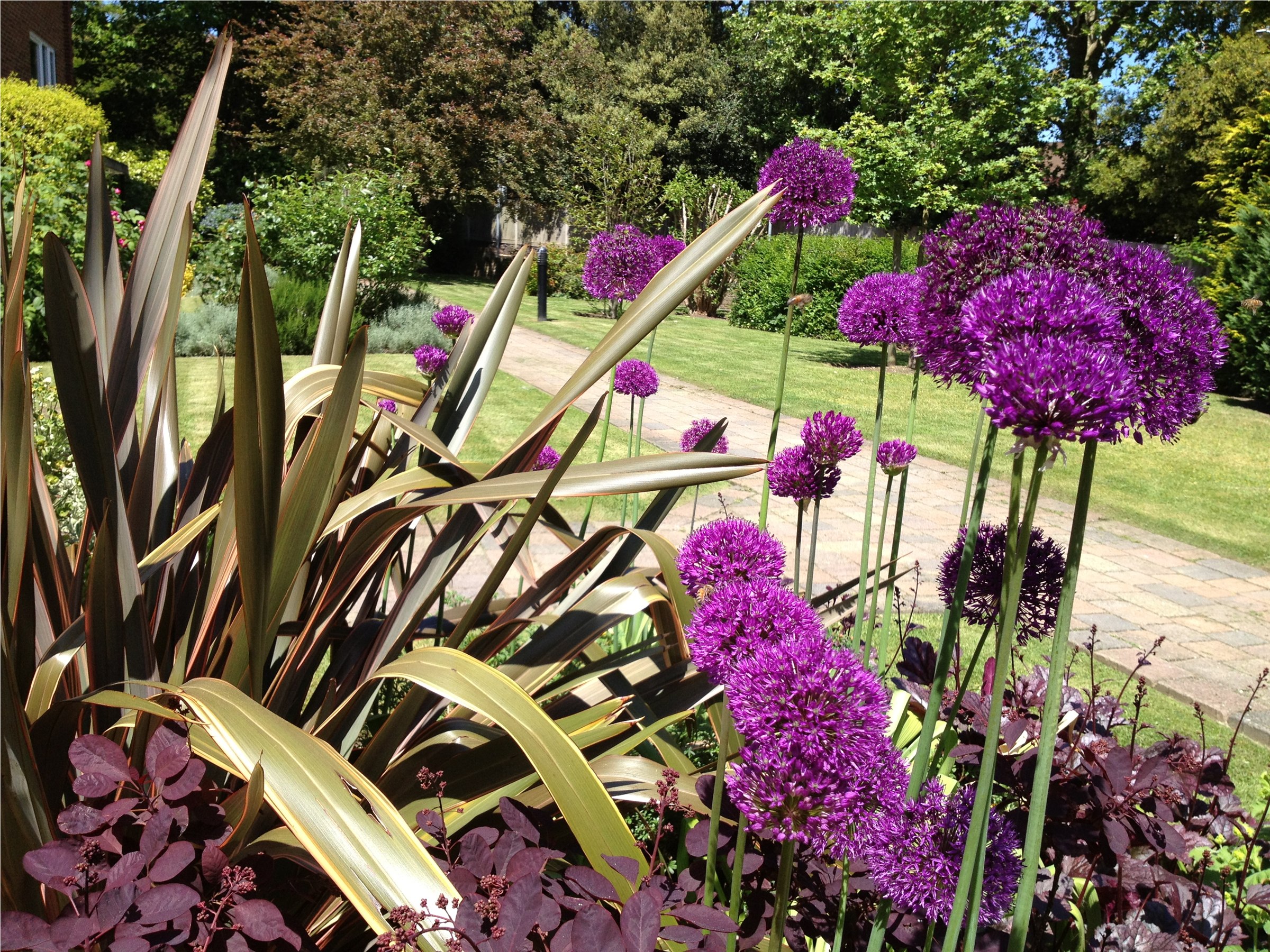 Davidia Urban Gardens client planting and garden detail